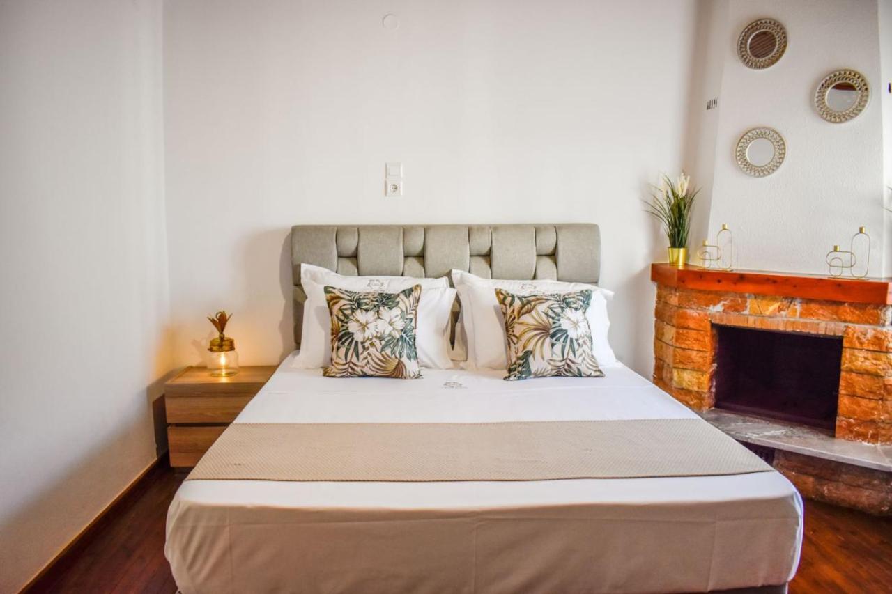 La Maison Plakes Rooftop Apt 斯基亚索斯镇 外观 照片