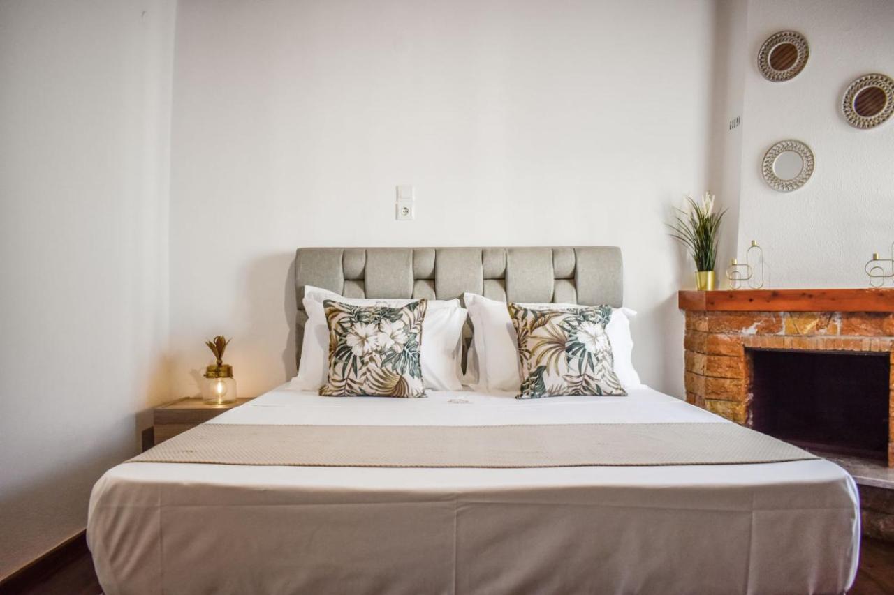La Maison Plakes Rooftop Apt 斯基亚索斯镇 外观 照片
